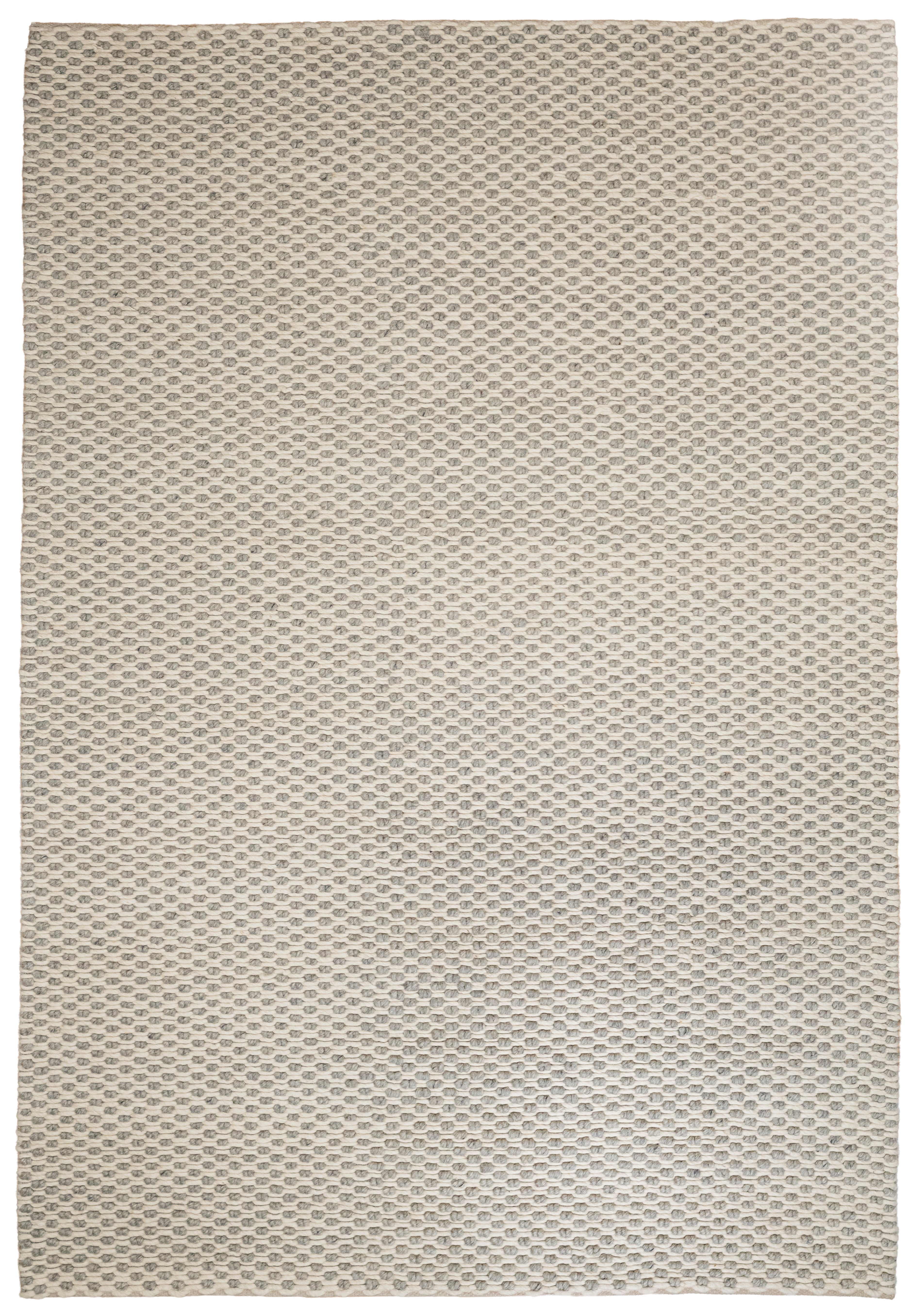 Anika N8051