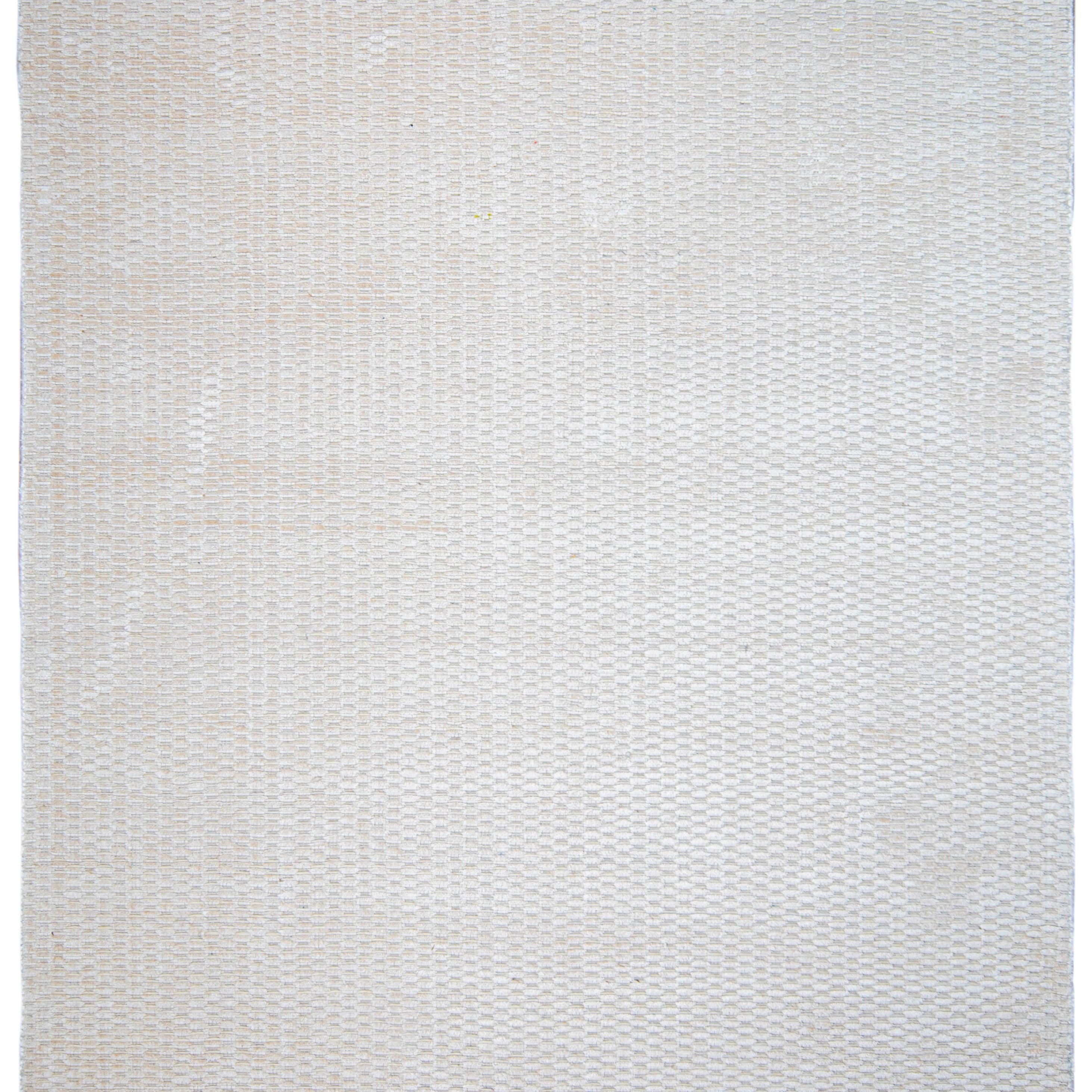 AereaAgariD3047.jpg