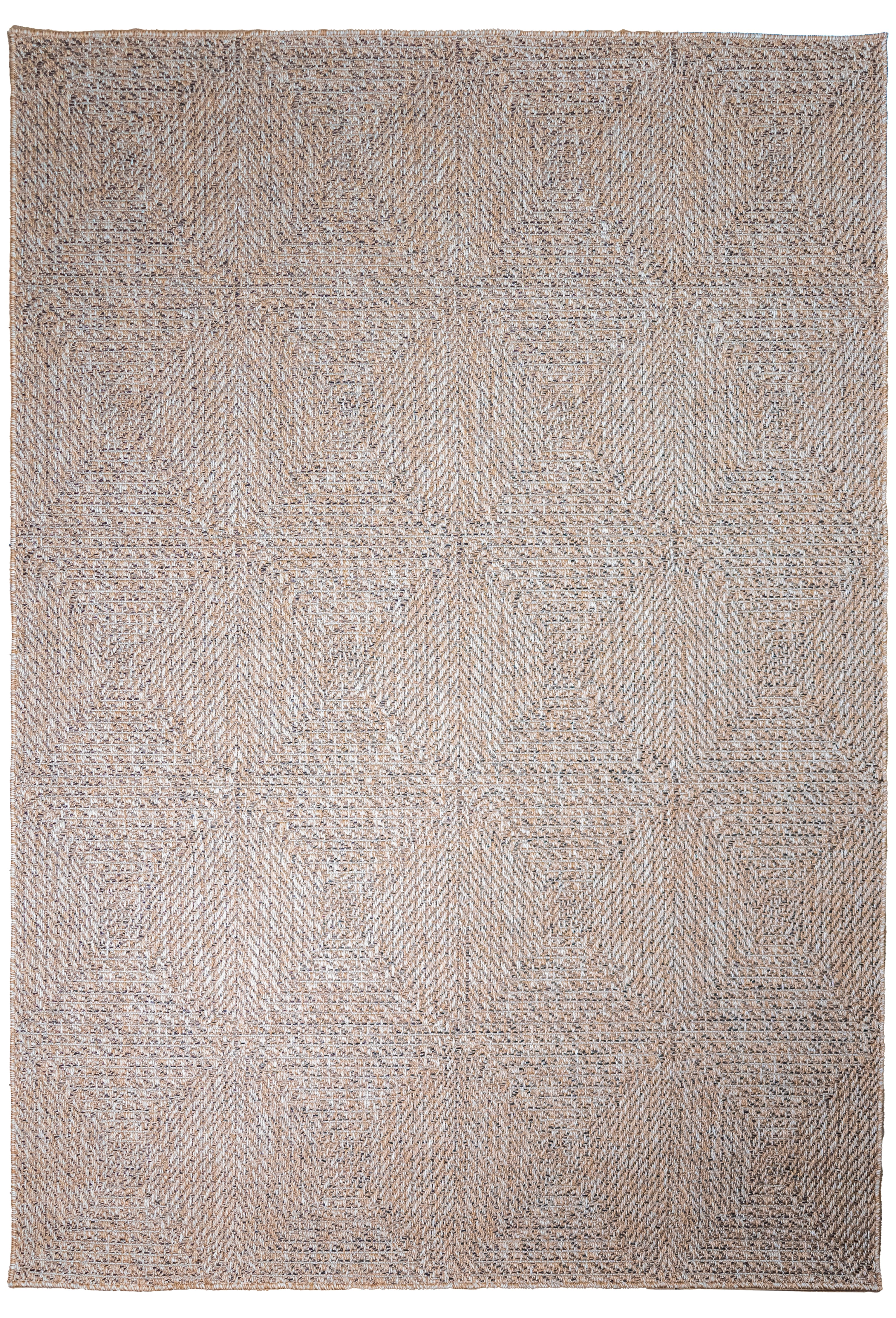 Biga R3001