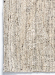 Kirti D3031